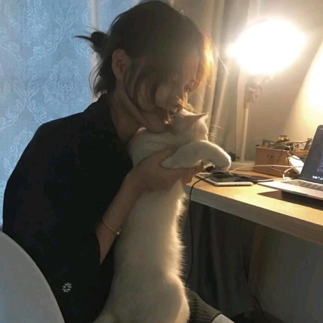 光遇呀
