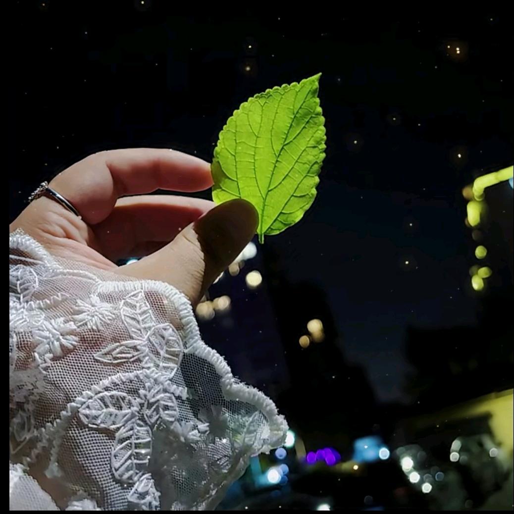 空白