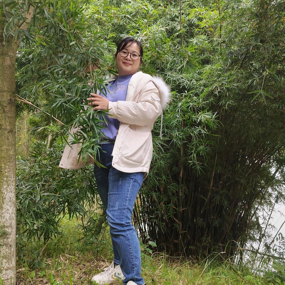 兰花草