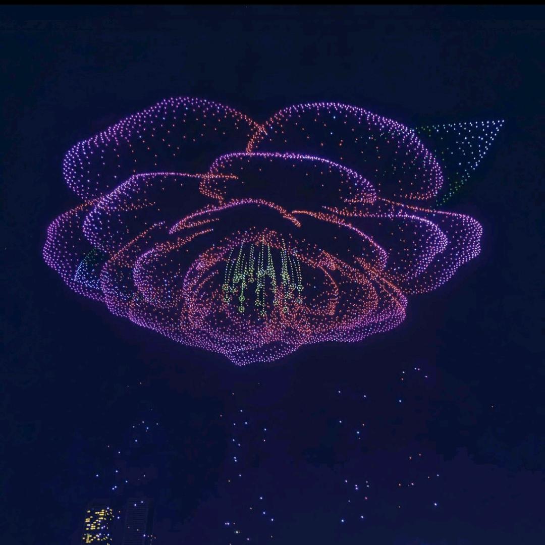 爱睡懒觉的张张