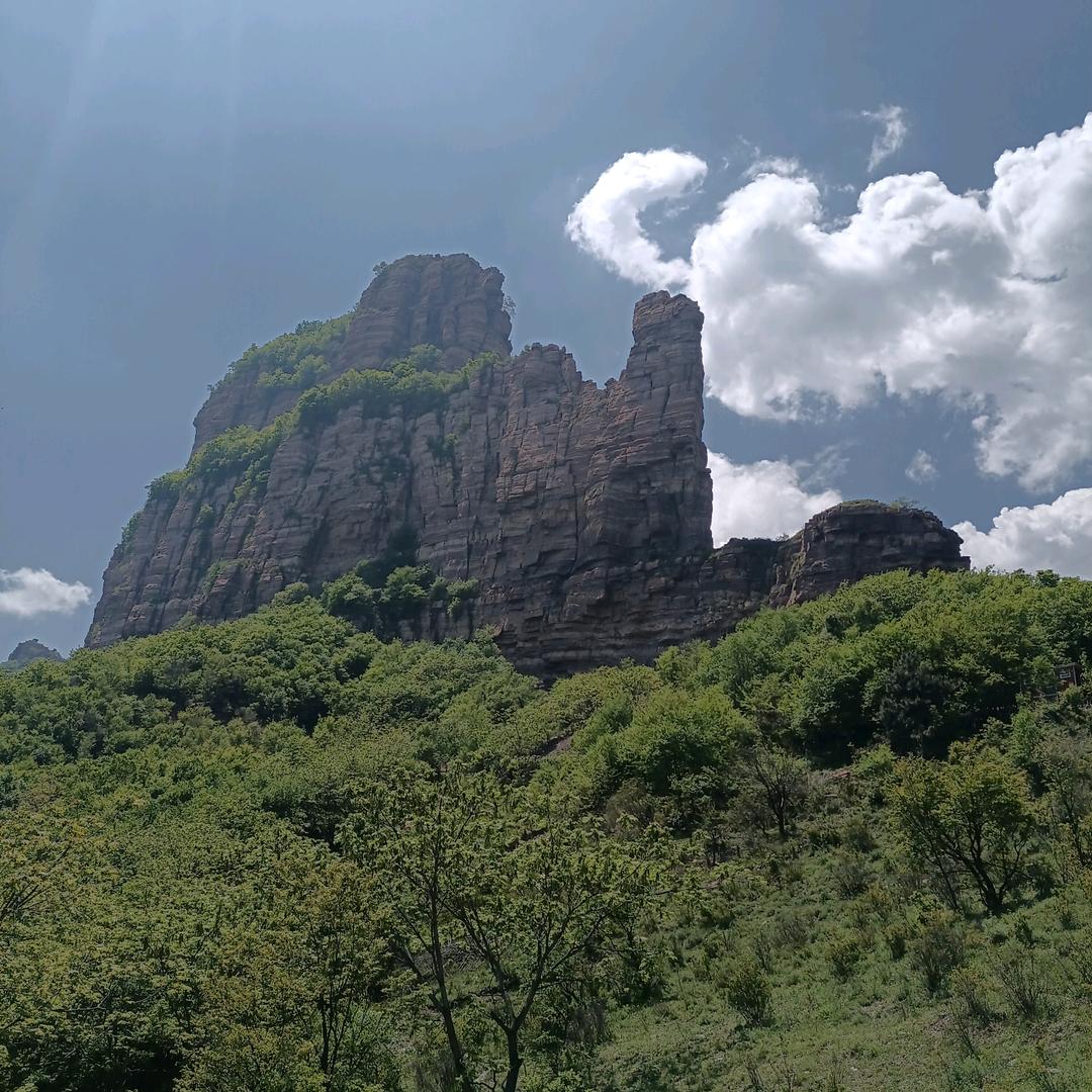 丽丽姐