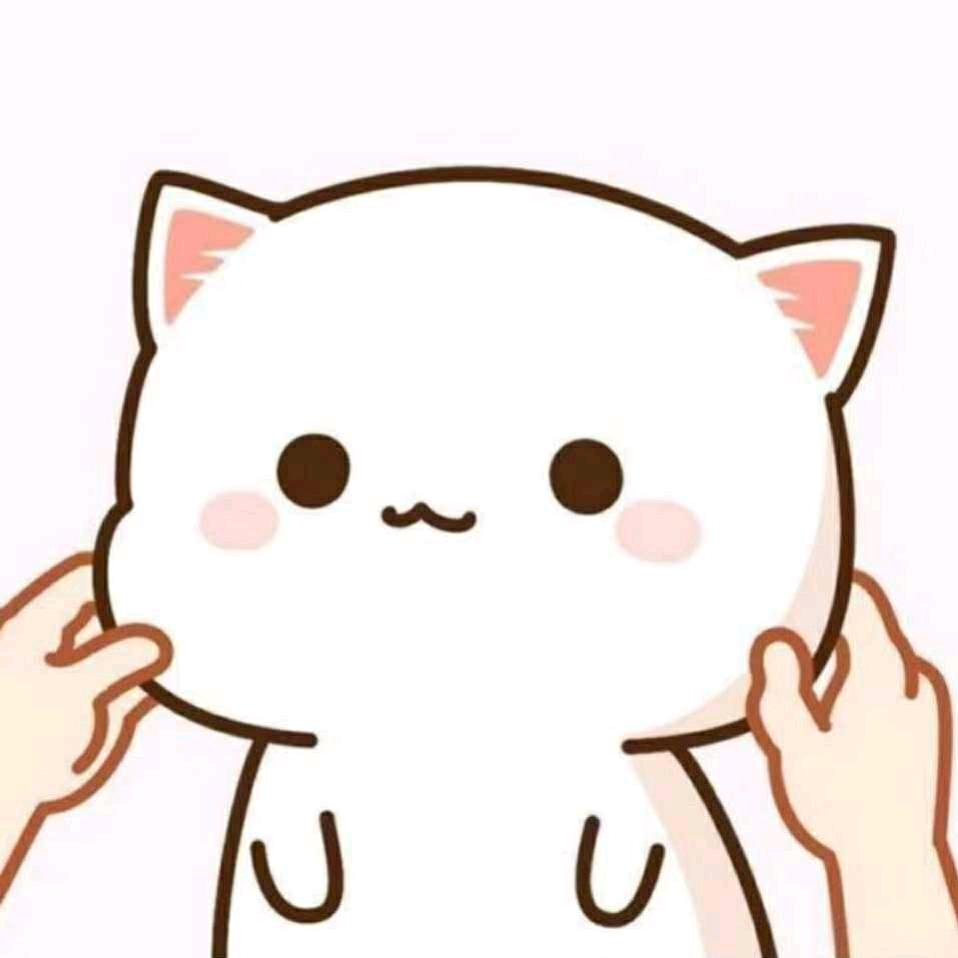 @小麦琦