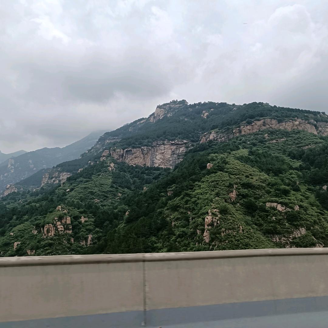 我家有俩宝