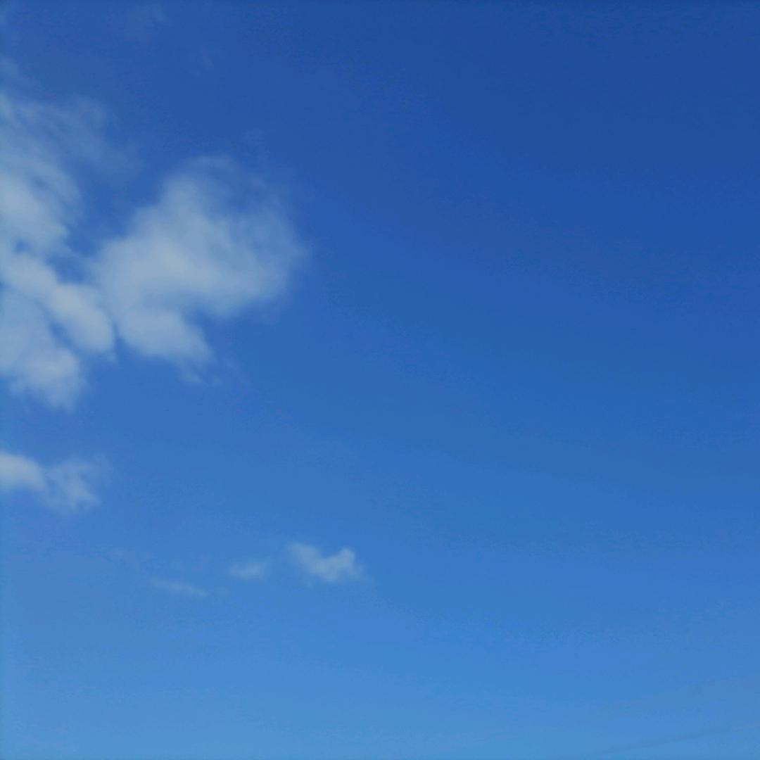 🧝‍♂️君子坦荡荡