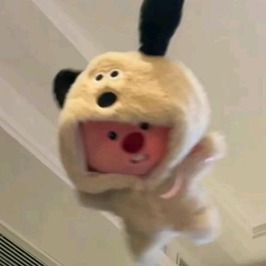 小赵_