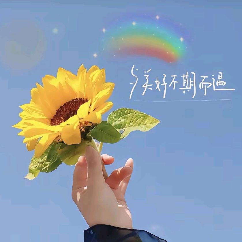 霞美启明托管蔡老师