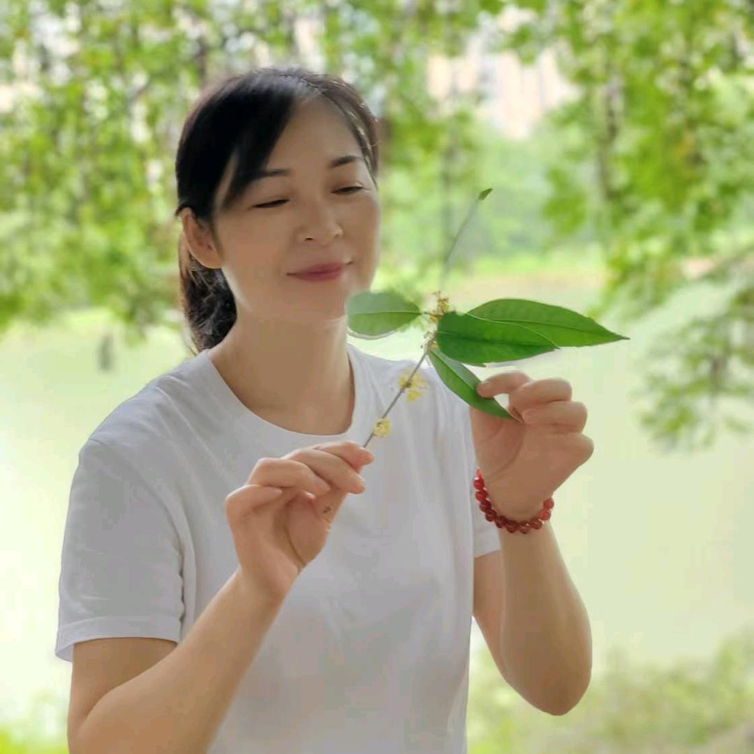 云水悠悠
