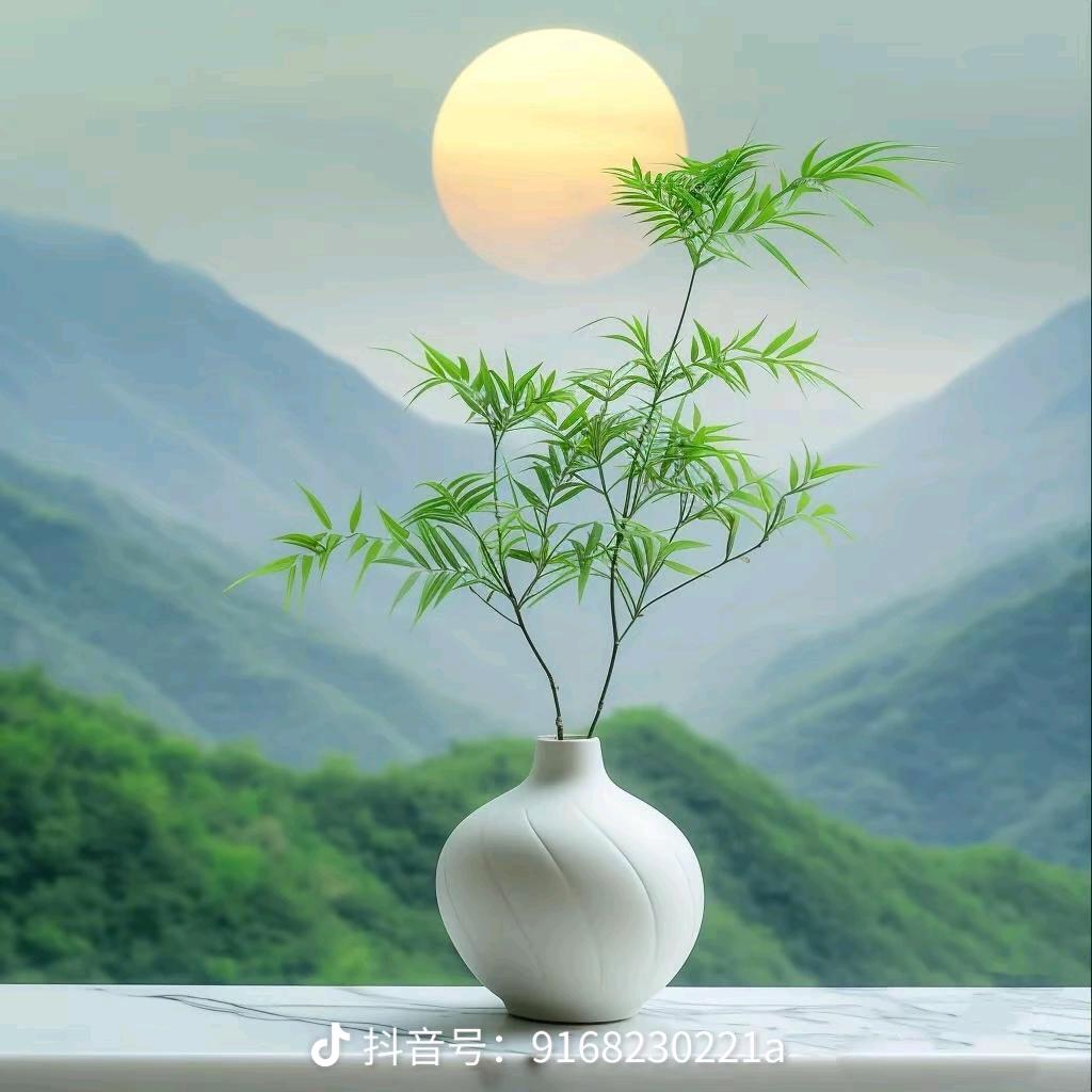 绒·宝