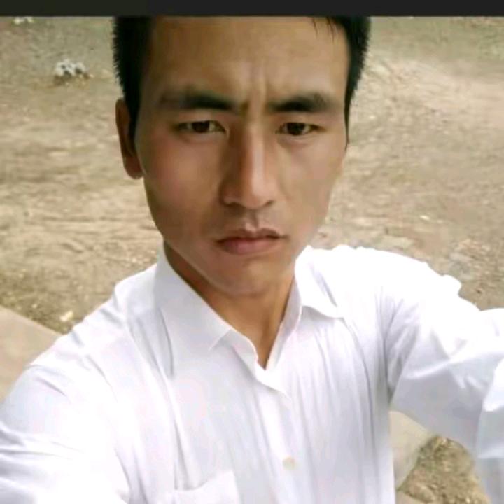 巢湖早茶兵支书