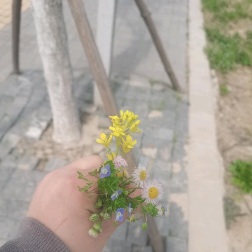 风清月明