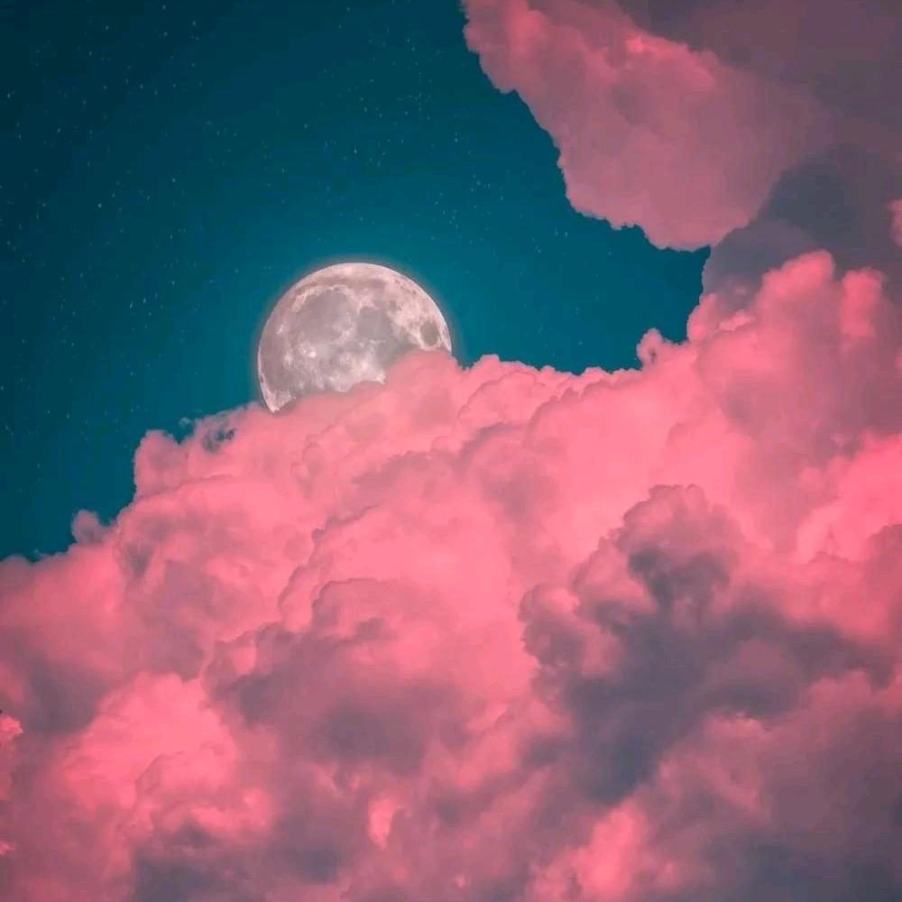 拾忆春绿