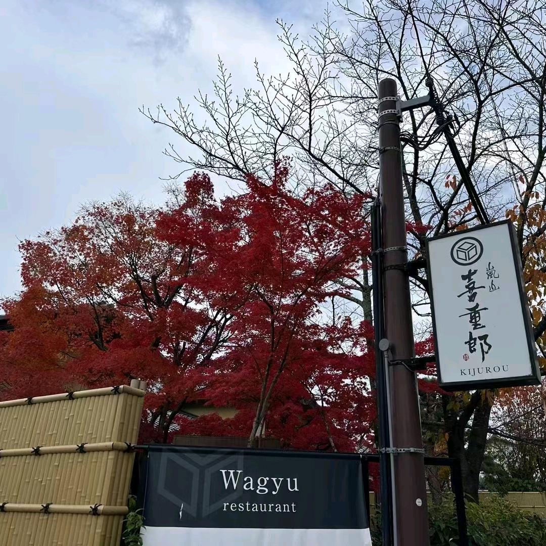 心碎了无痕_
