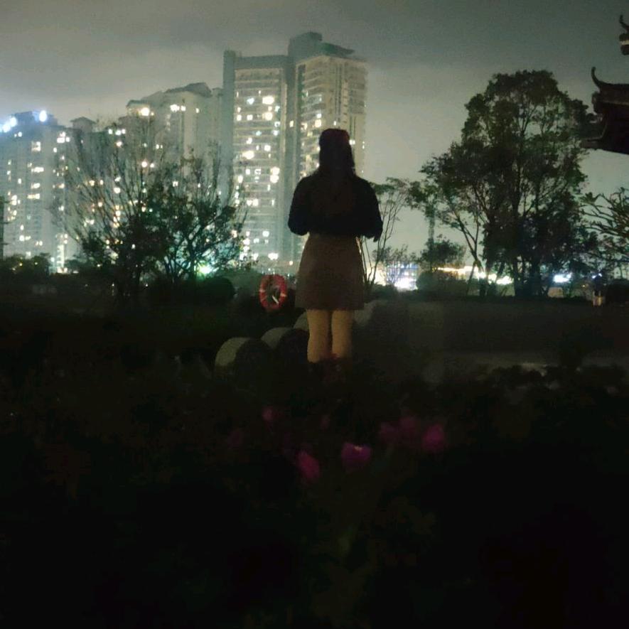 雅雅