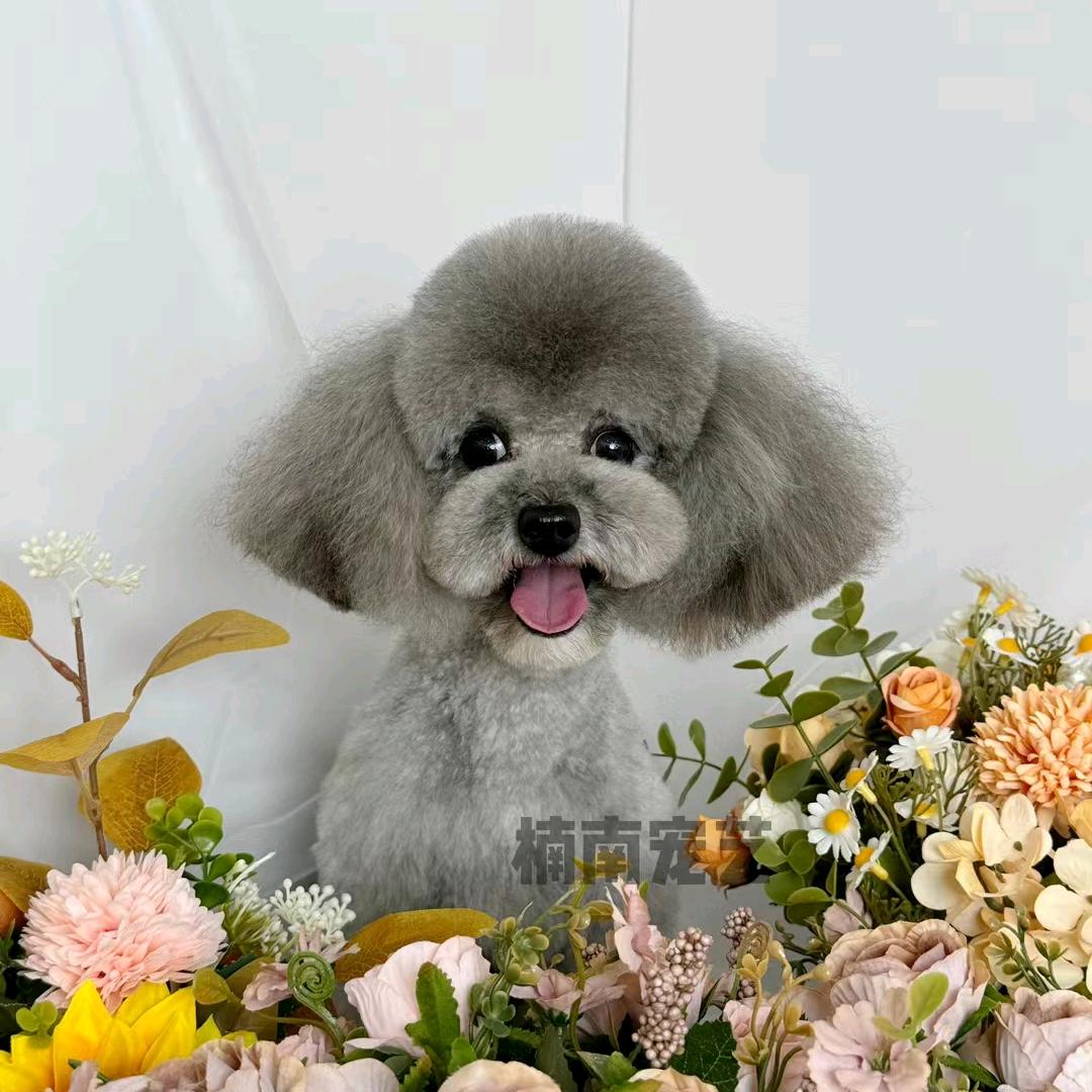 用户三三