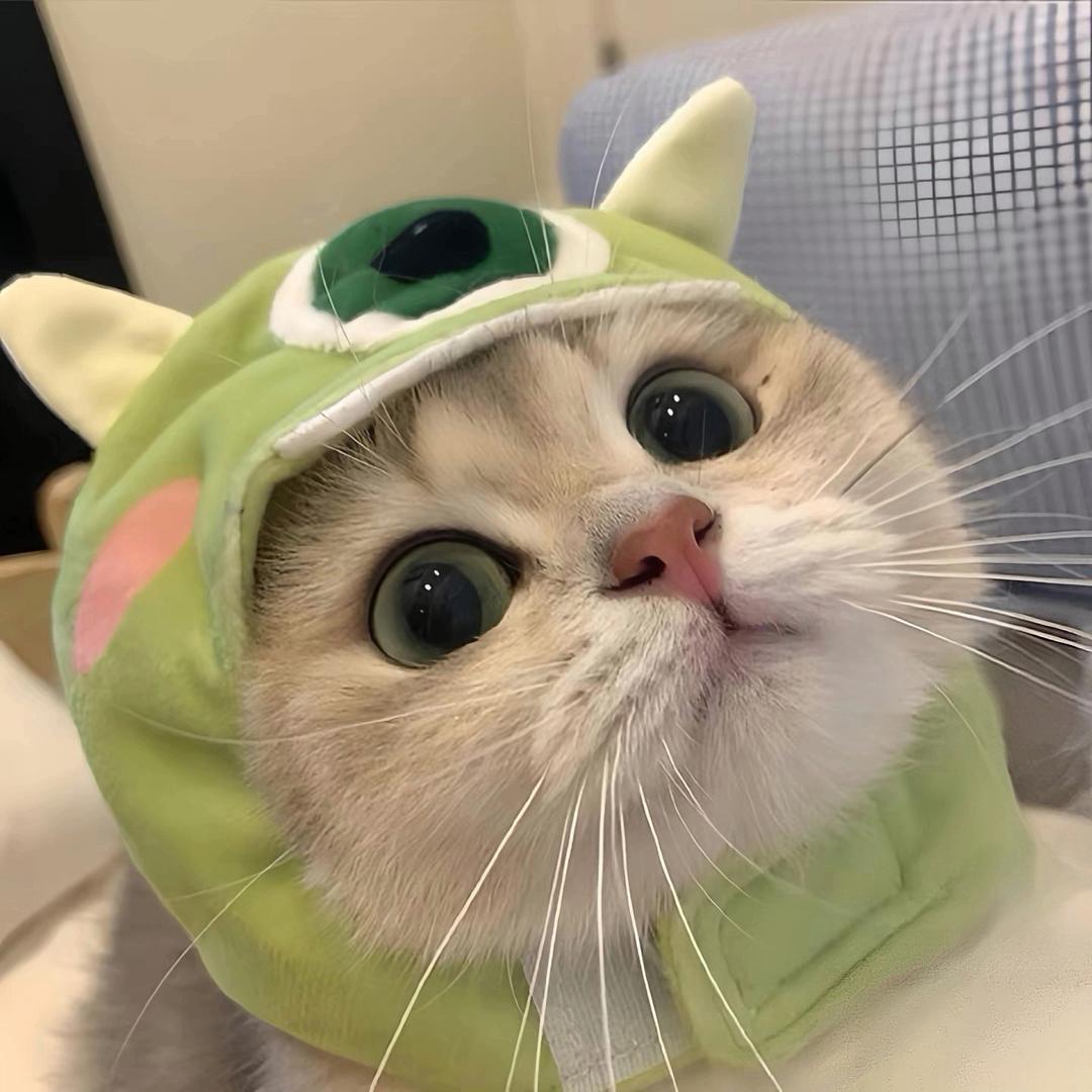 落悾