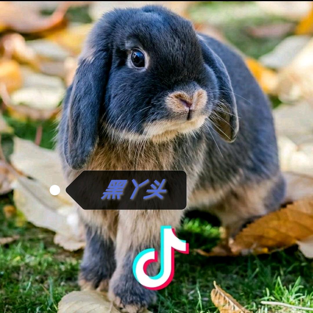 黑丫头