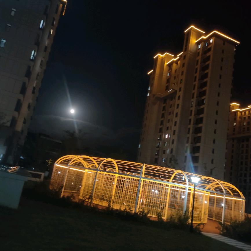 💕微笑向阳☀️