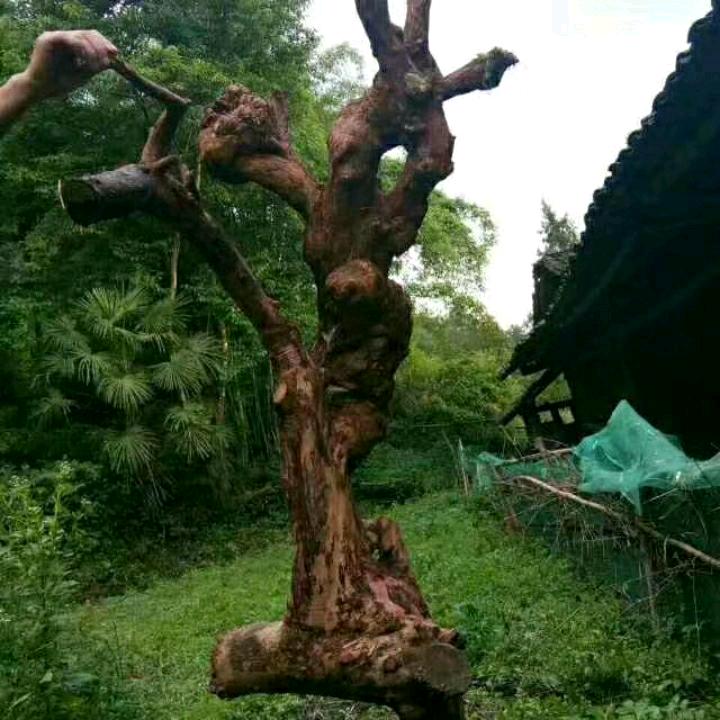 水中游、