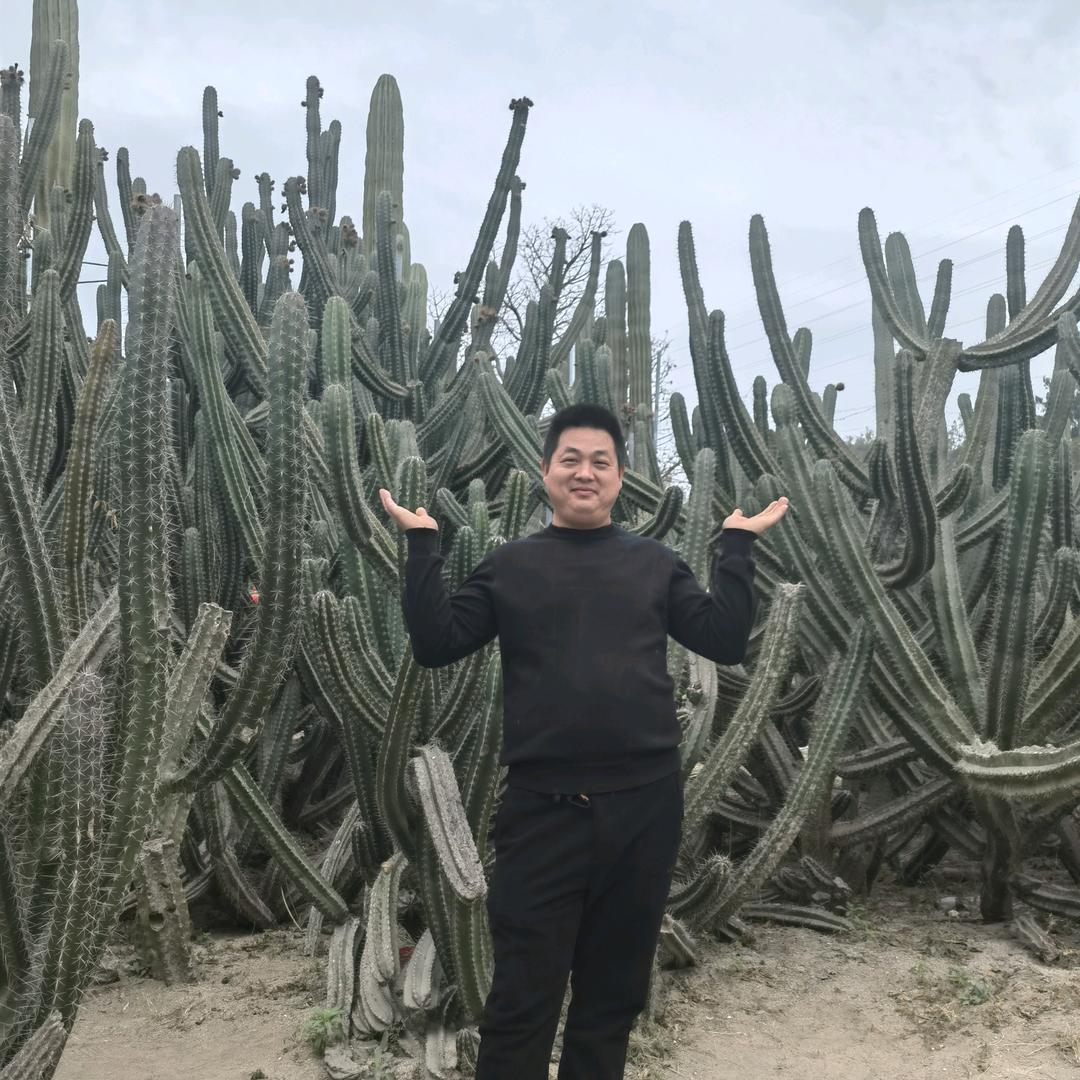 幸福林生活号