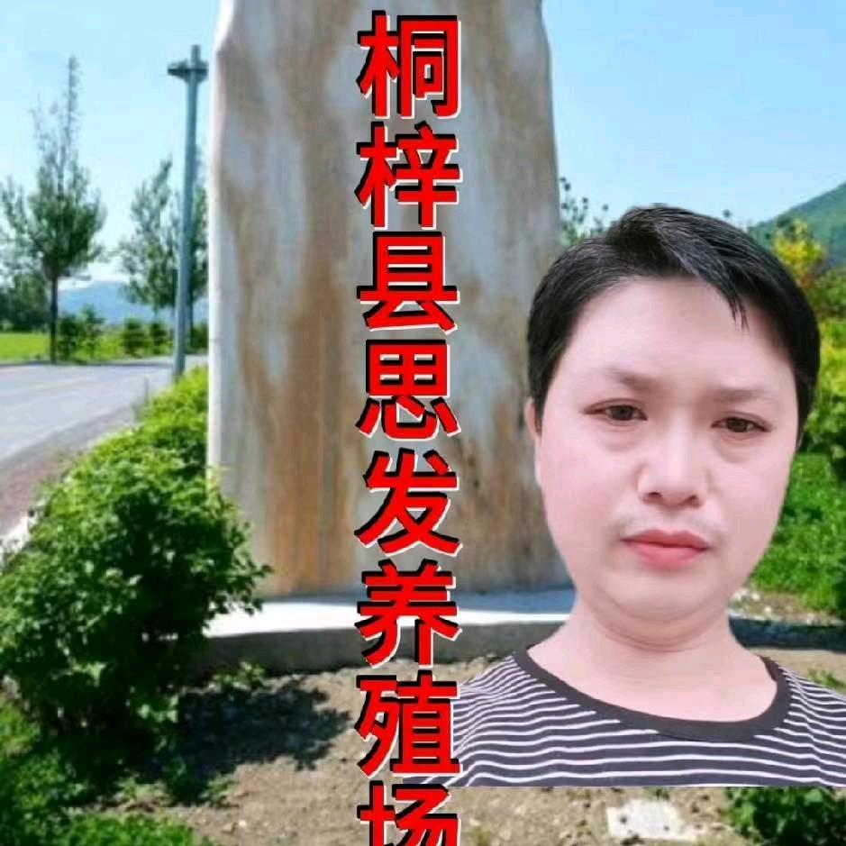 發发法