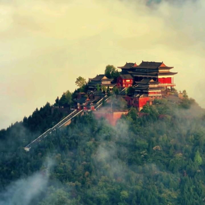悟空