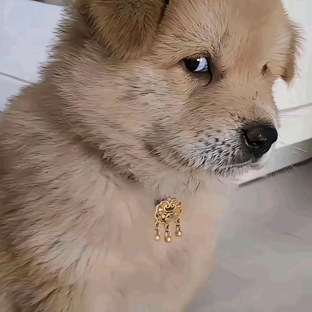 小陈？