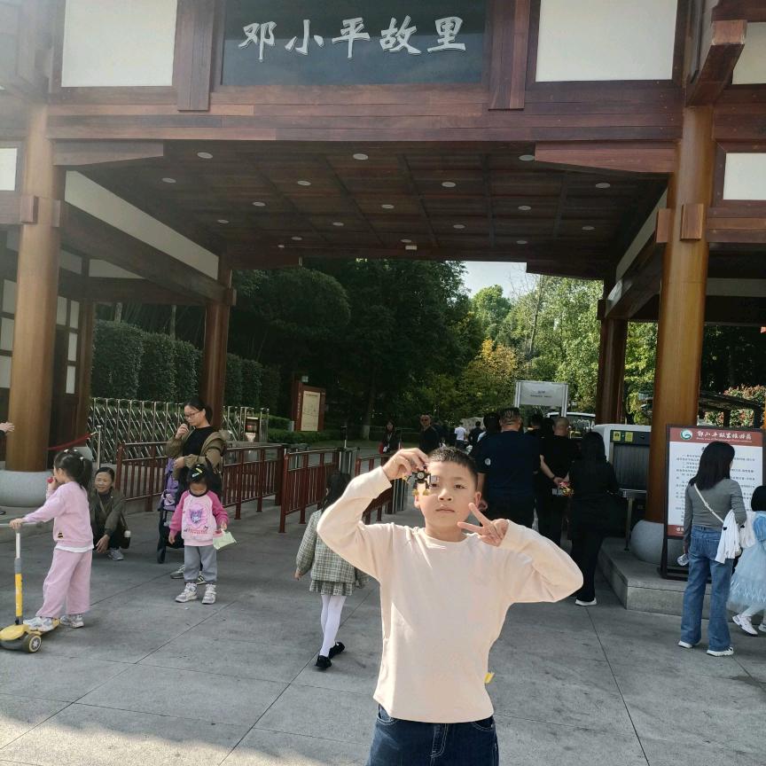 枫叶