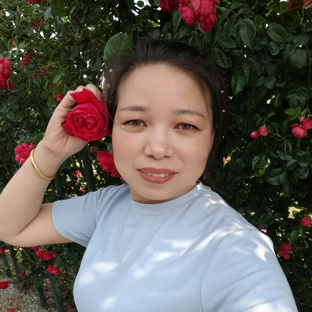 乐乐