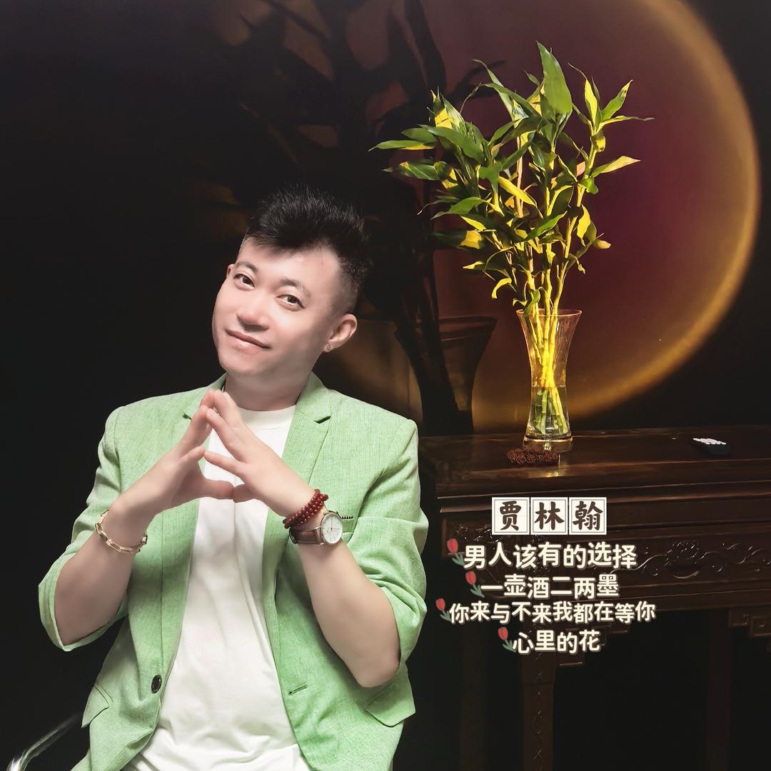 贾林翰  新歌【男人该有的选择】