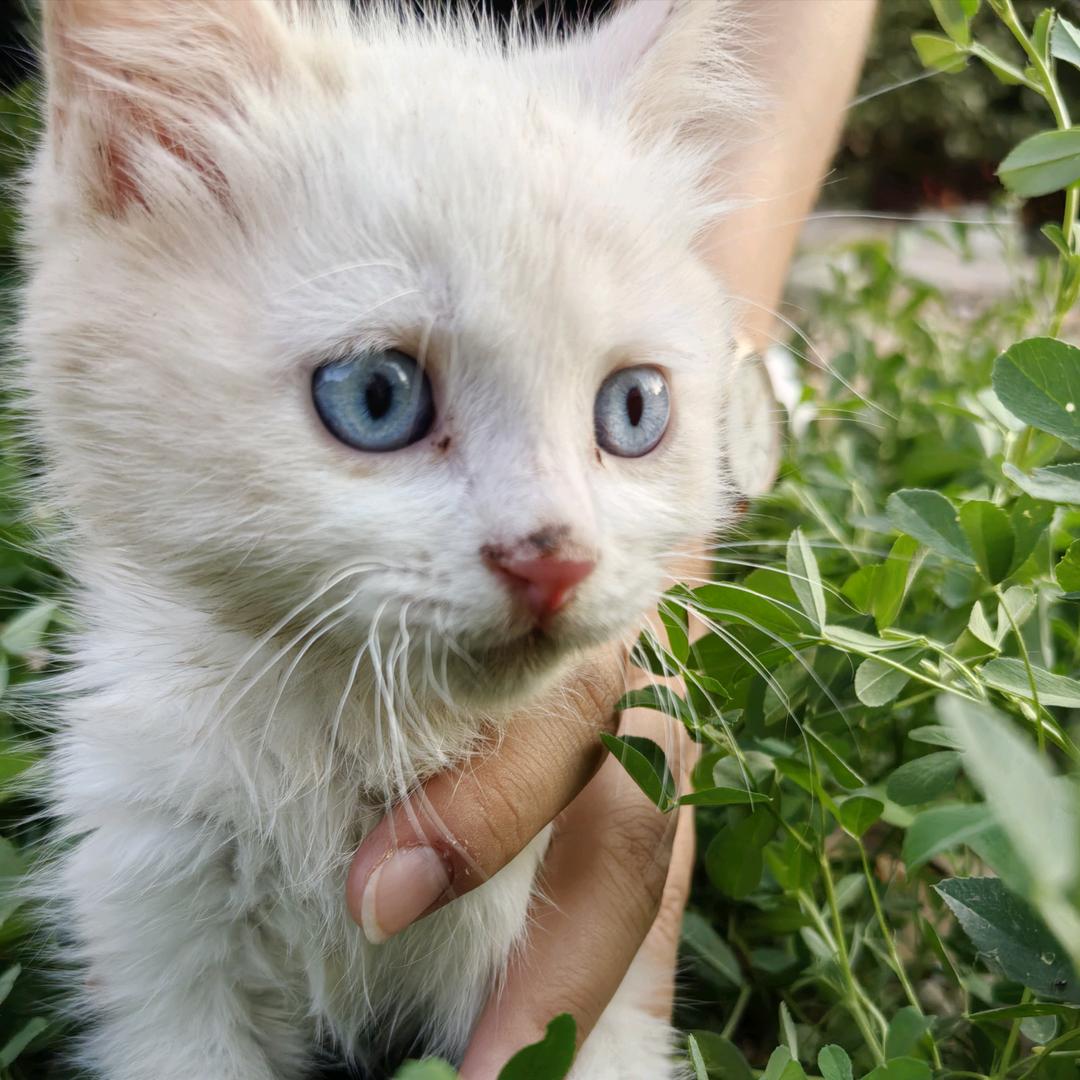 平凡人的三餐四季