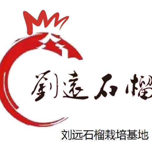 刘远家的石榴园