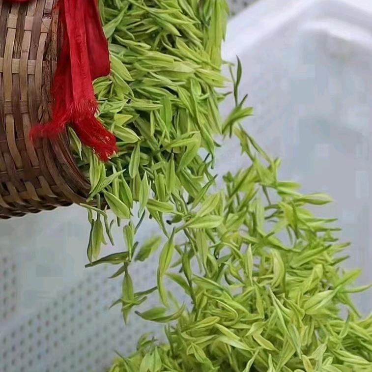 周氏茶庄(常周店)