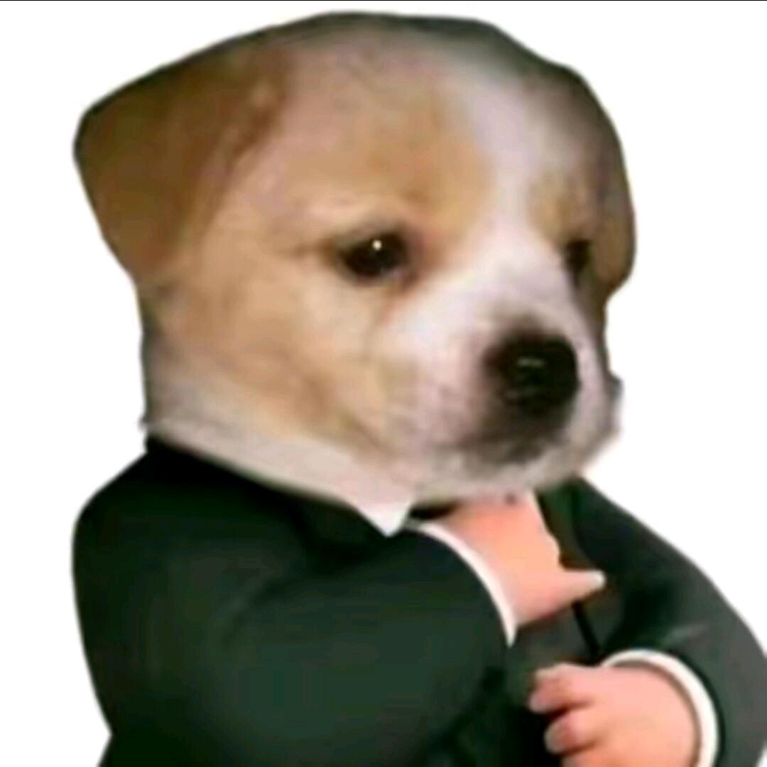冬汝择