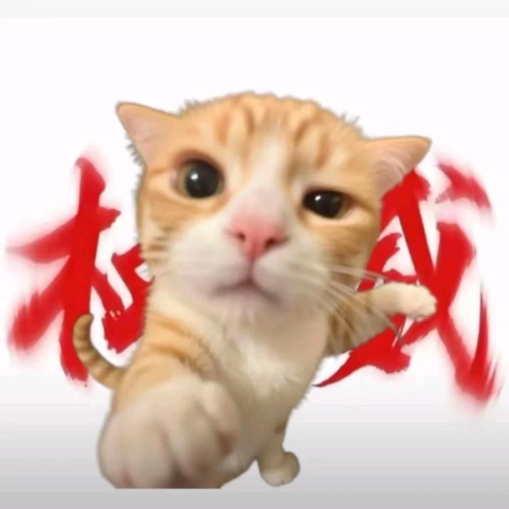 康康不长肉
