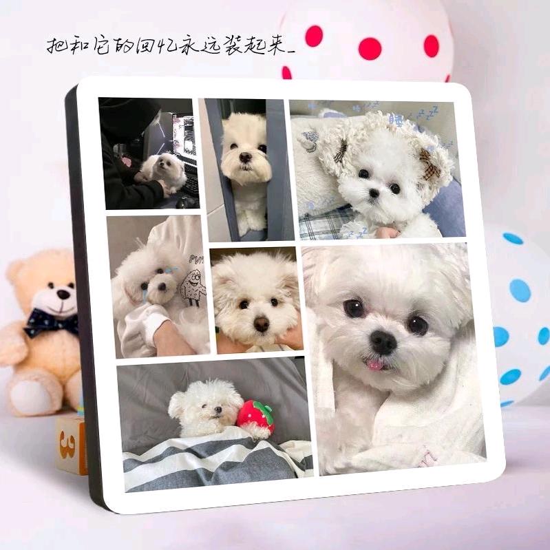 淑云小店铺