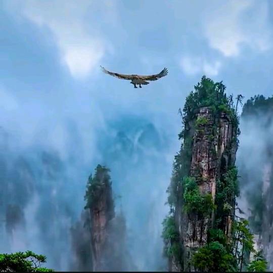 龙行天下认知思维格局