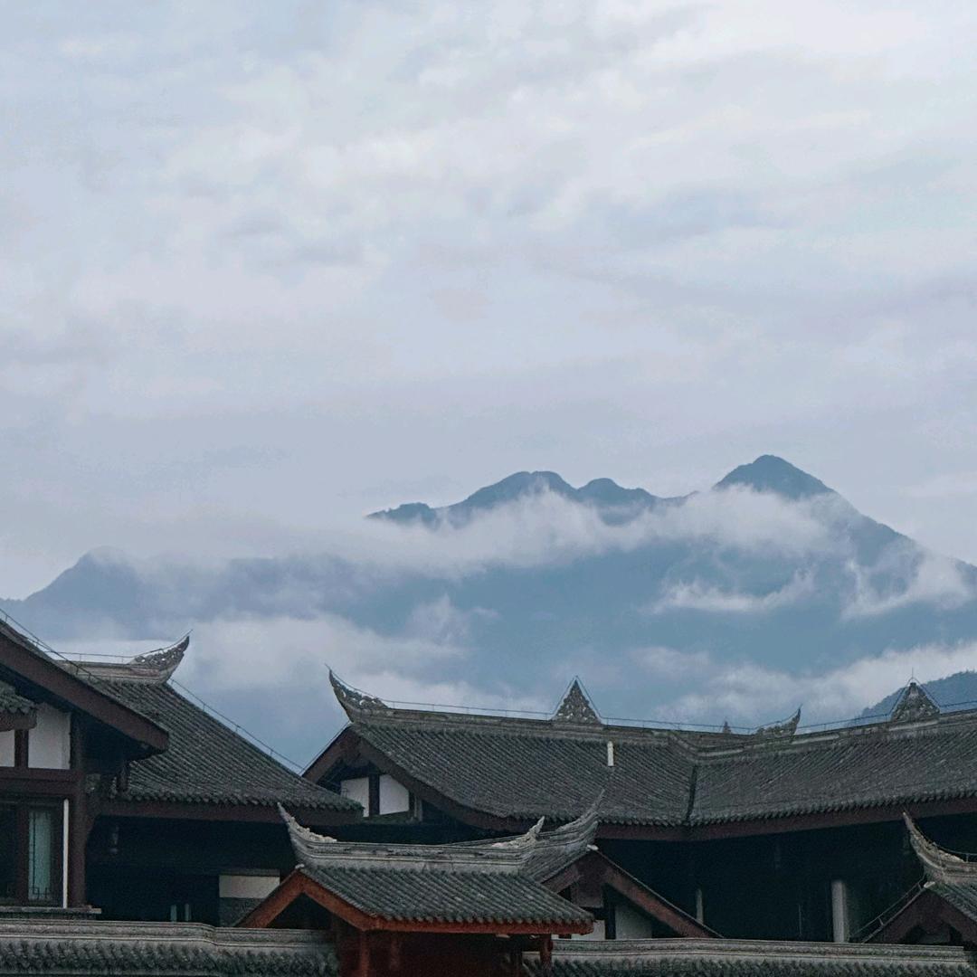 四川收防疫物资