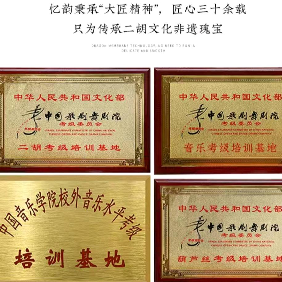 迪瑞斯DIRISI临沂钧宏乐器有限公司乐器专卖店