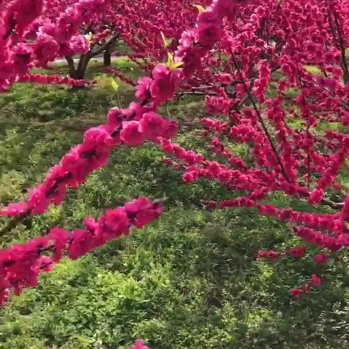 姐在努力