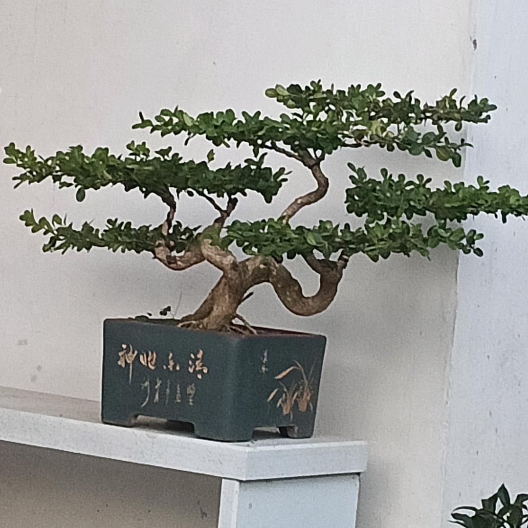 花花世界，谁懂谁无情！