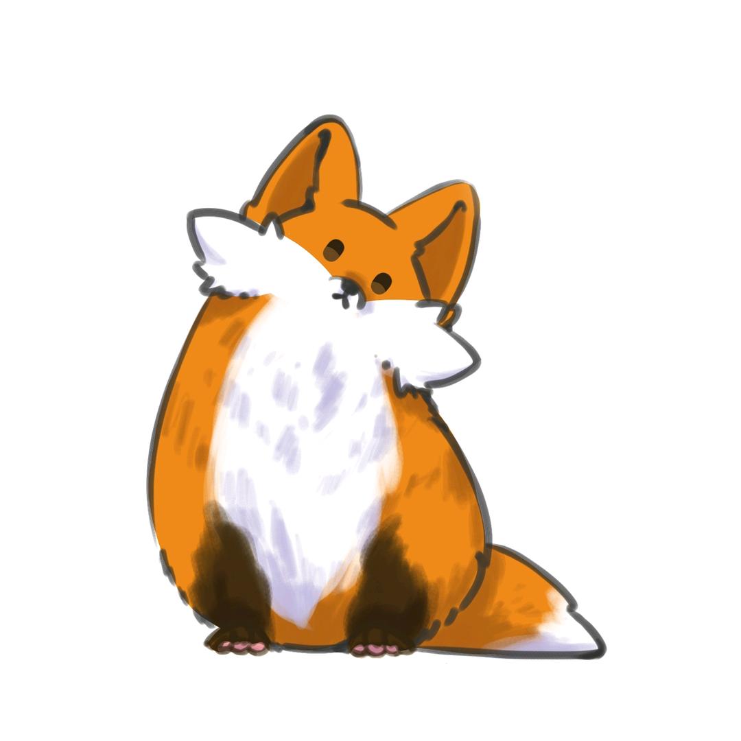 探险橘