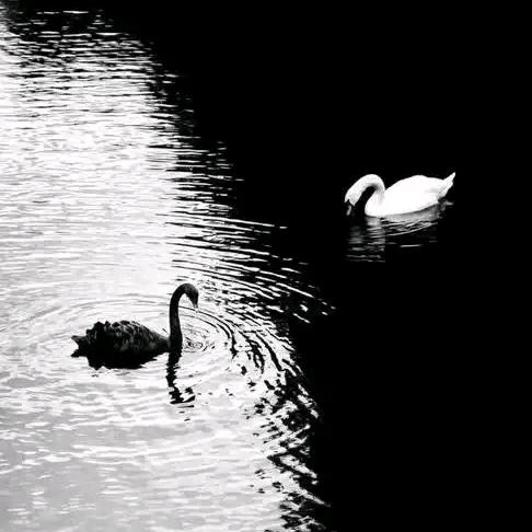 YY518🌪👻👻(🈲号中）