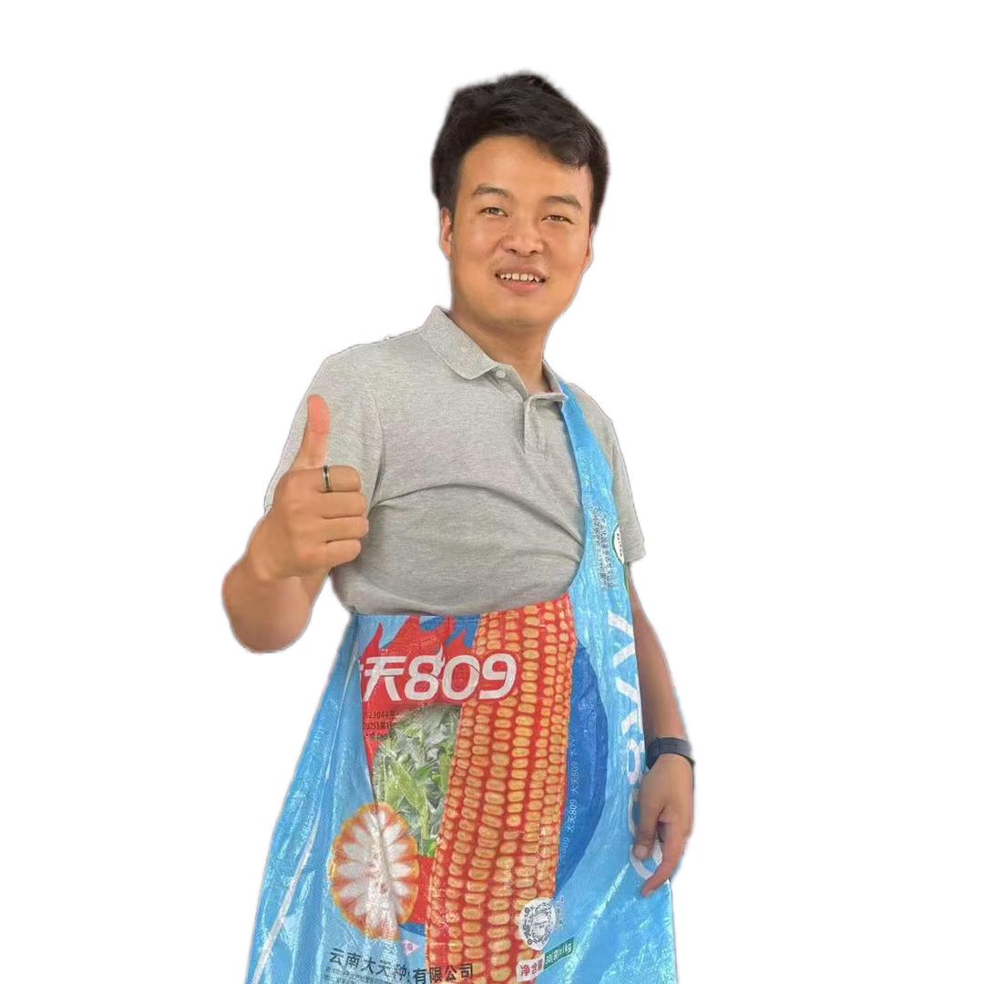 大天种业—周星星