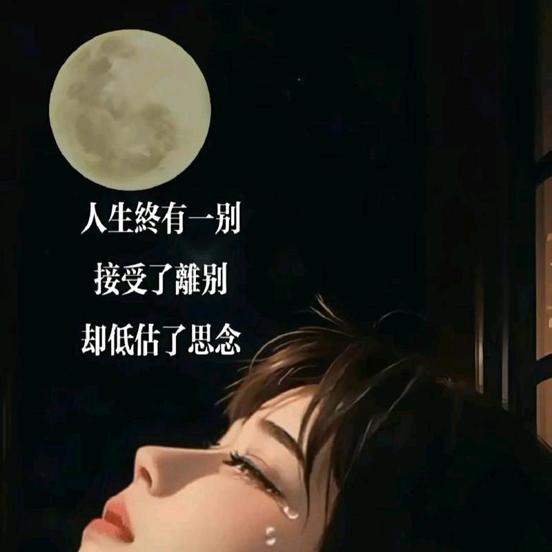 AA陌路相逢