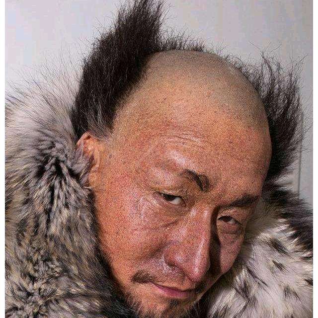 柴胡
