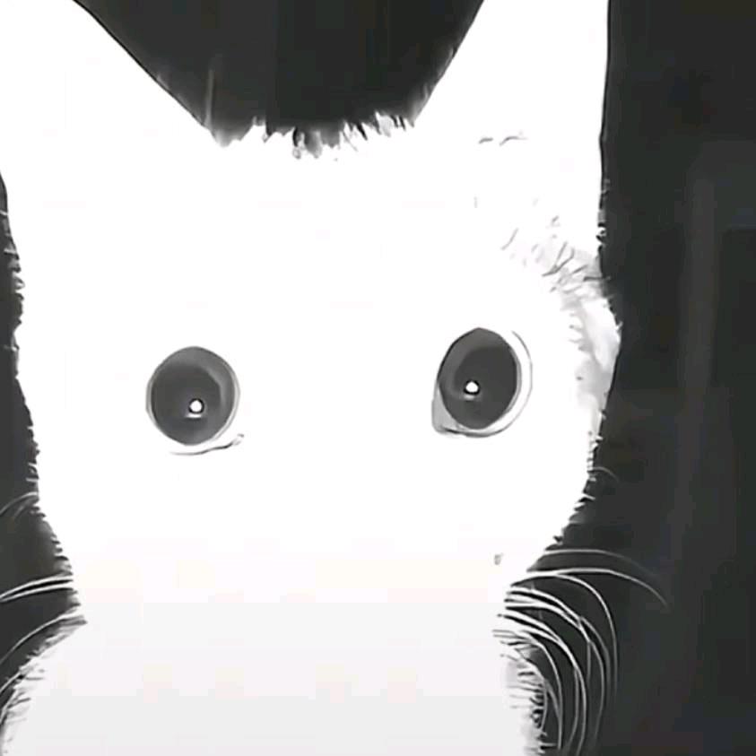 桌子乱