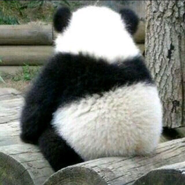 墙外行人