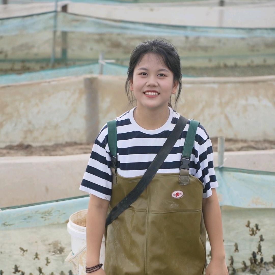 稻蛙乡田小小铺