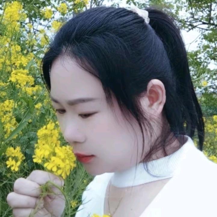 花开花落🌸