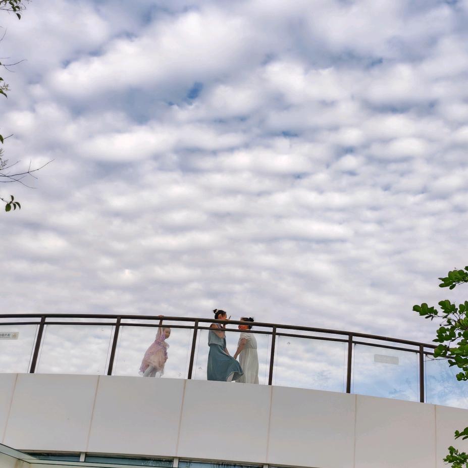 এ᭄ℳྱ丹ༀྲ丹༓º᭄༊🐮